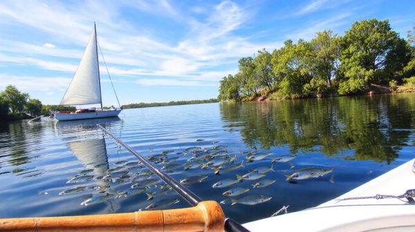 Découvrez les meilleures escapades en bateau et pêche