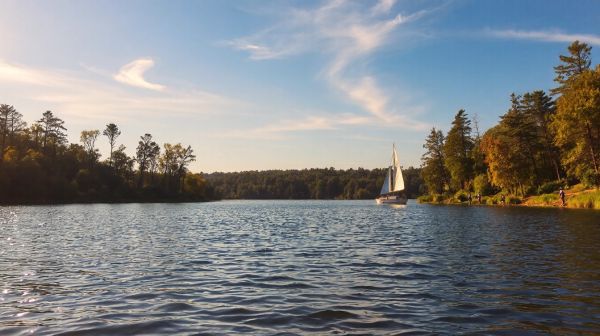Découvrez les meilleures escapades en bateau et pêche