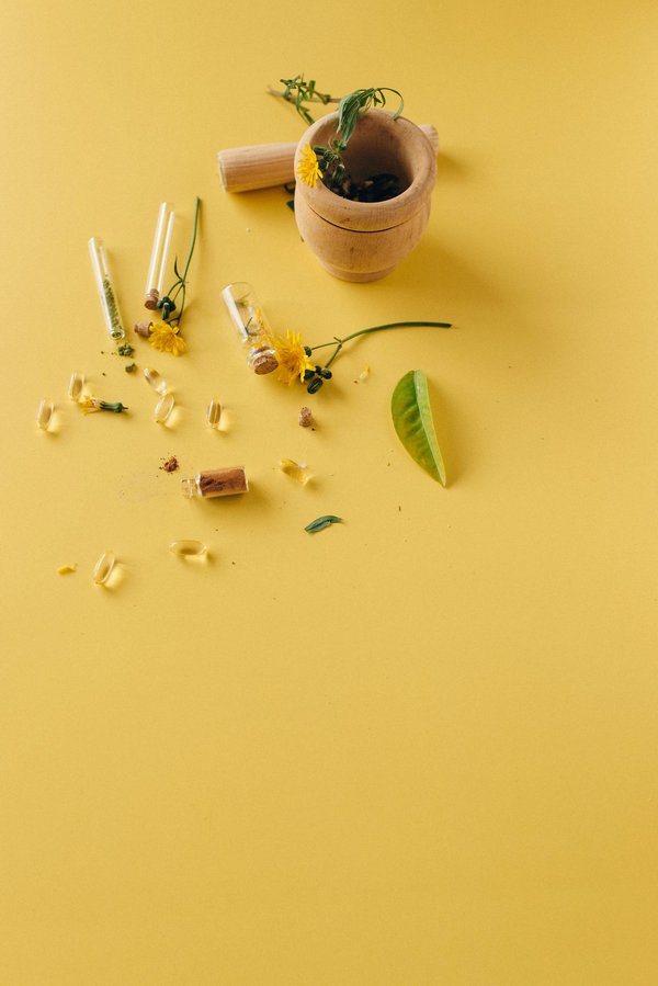 Formation pharmacien en phytothérapie : des clés pour réussir